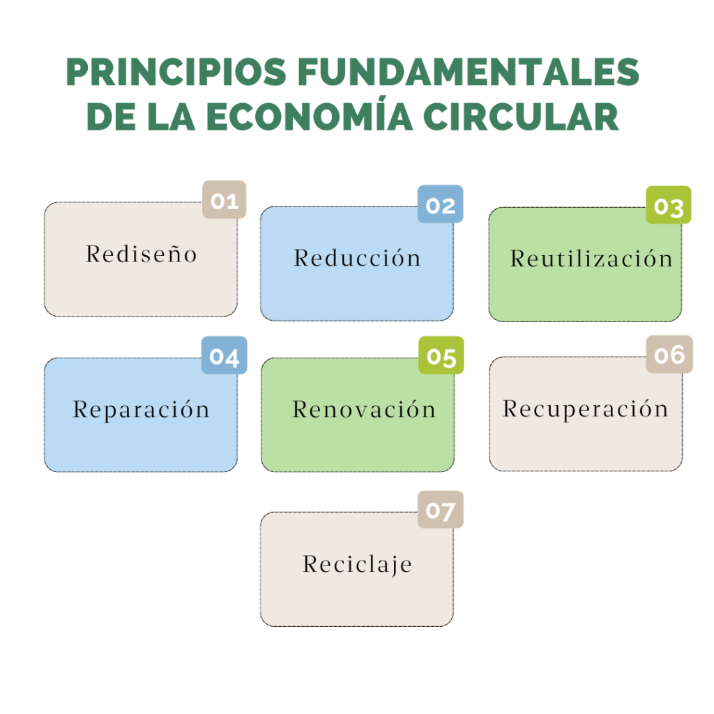 7 R economía circular
